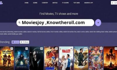 Why Moviesjoy is the Best Choice for Movie Lovers Everywhere